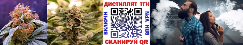 ТГК жижа  Салаир 