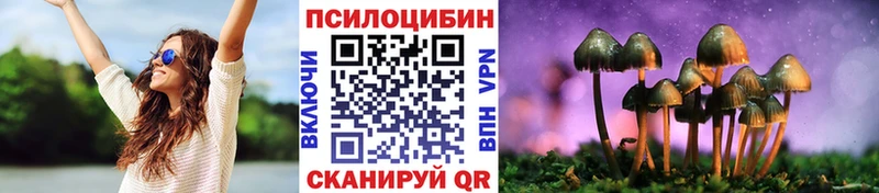 Псилоцибиновые грибы мицелий Салаир