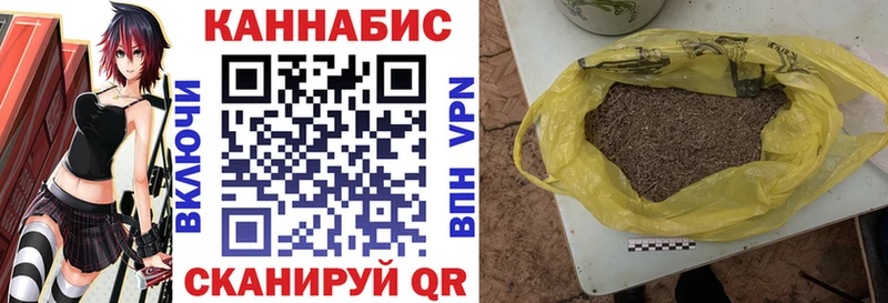 Бошки Шишки сатива  Салаир 